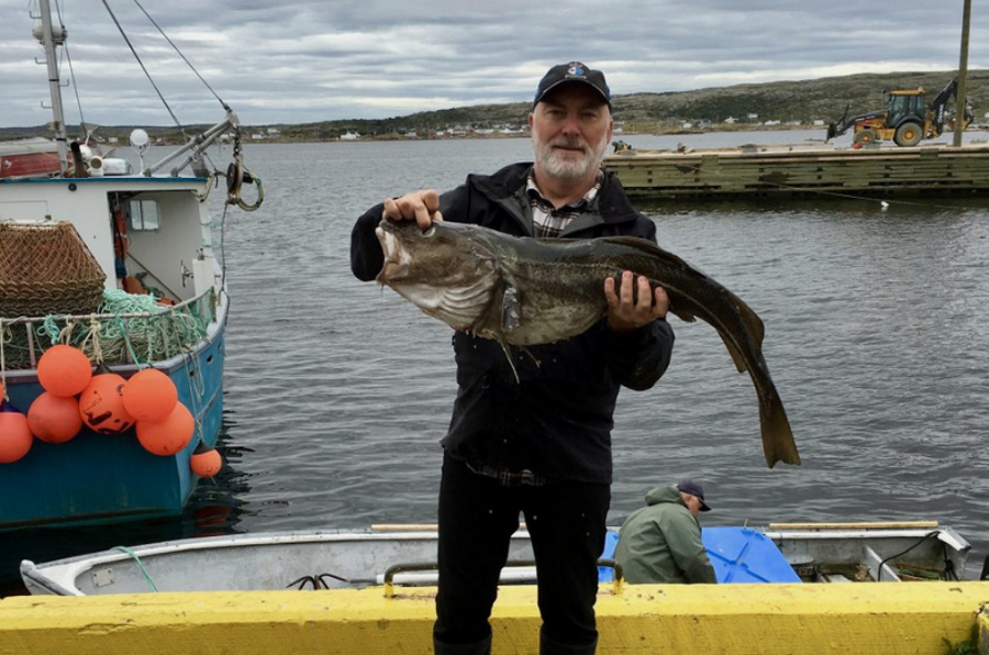 Introducing Fogo Island Fish